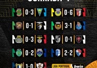 YY易游m6米乐福建YY易游m6米乐信息技术有限公司-里尔主场战胜摄尔维，稳居积分榜前列的简单介绍